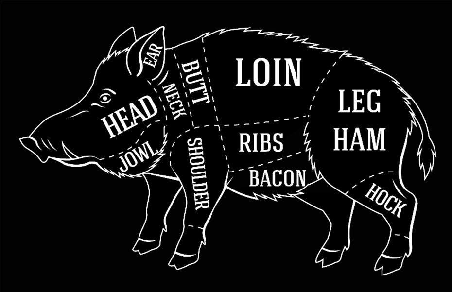 Wild Zwijn Procureur