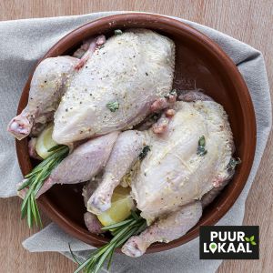 Piepkuiken - Poussin