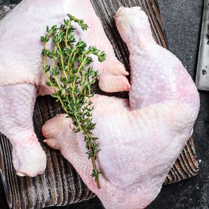 Kippenbout Polderhoen